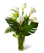 Always Adored Calla Lily Arrangement Always Adored Calla Lily Arrangement