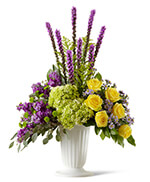 Affection Arrangement Affection Arrangement