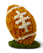 American Football American Football